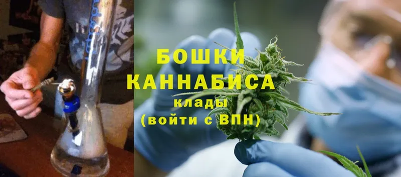 Бошки Шишки Ganja  Калачинск 